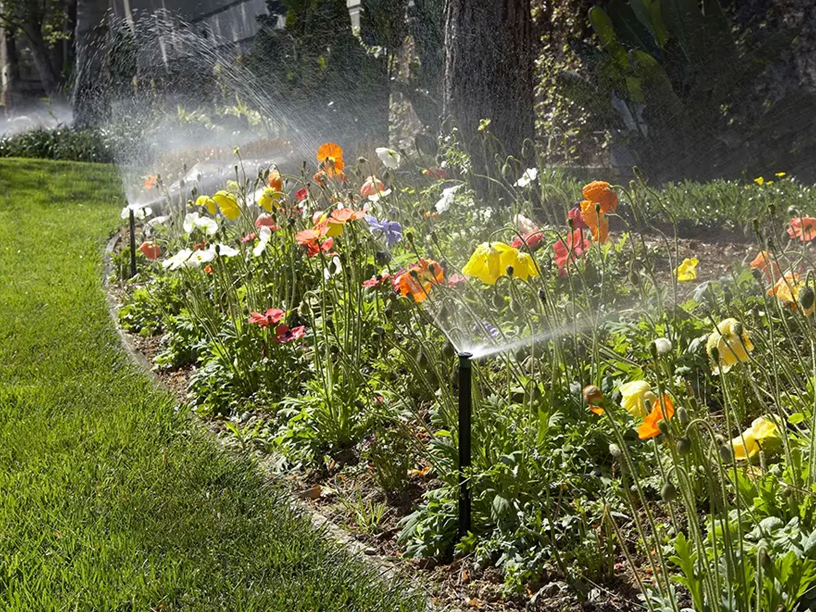 PE Pipe – Landscape Irrigation